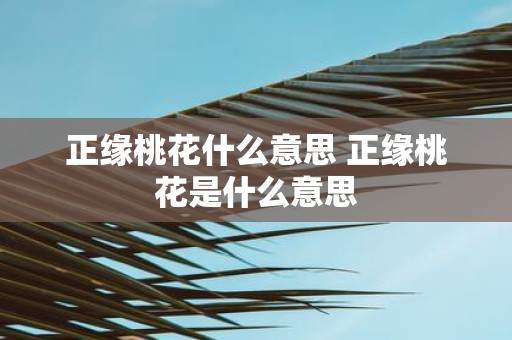 正缘桃花什么意思 正缘桃花是什么意思