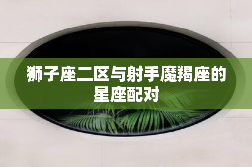狮子座二区与射手魔羯座的星座配对