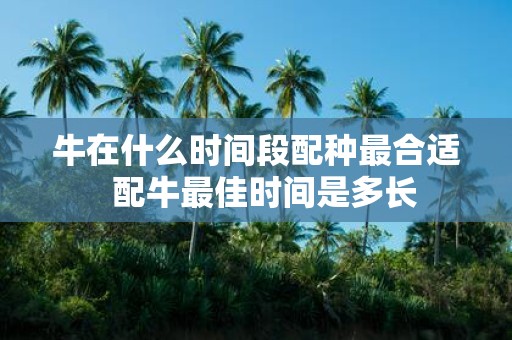 牛在什么时间段配种最合适 配牛最佳时间是多长
