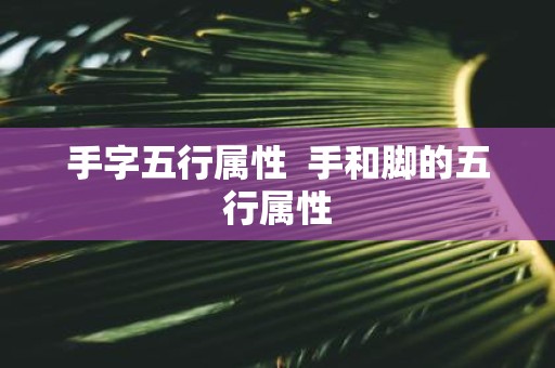 手字五行属性 手和脚的五行属性