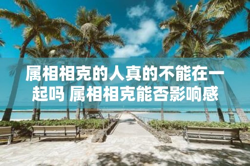 属相相克的人真的不能在一起吗 属相相克能否影响感情