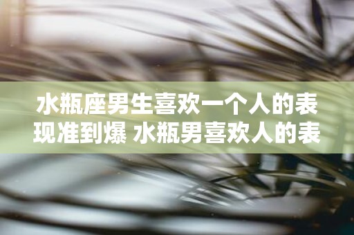 水瓶座男生喜欢一个人的表现准到爆 水瓶男喜欢人的表现