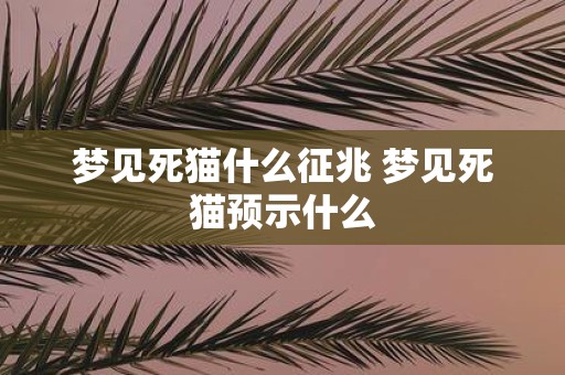 梦见死猫什么征兆 梦见死猫预示什么
