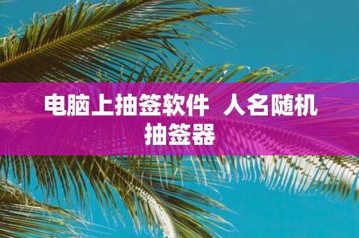 电脑上抽签软件 人名随机抽签器