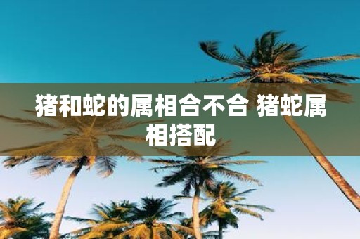 猪和蛇的属相合不合 猪蛇属相搭配