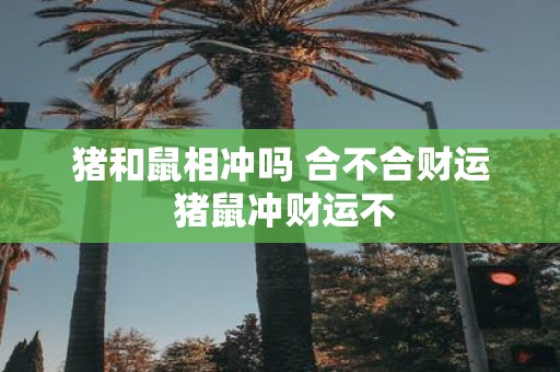 猪和鼠相冲吗 合不合财运 猪鼠冲财运不
