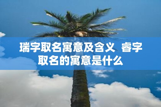 瑞字取名寓意及含义 睿字取名的寓意是什么