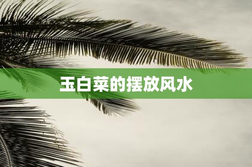玉白菜的摆放风水