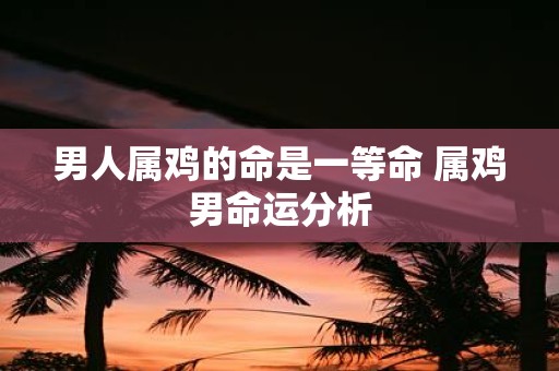 男人属鸡的命是一等命 属鸡男命运分析