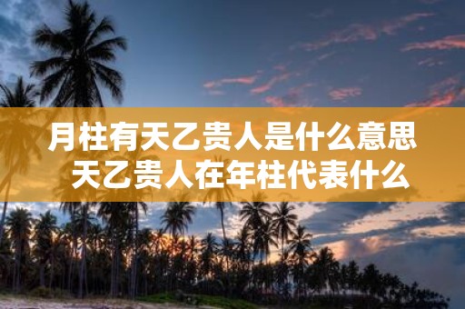 月柱有天乙贵人是什么意思 天乙贵人在年柱代表什么