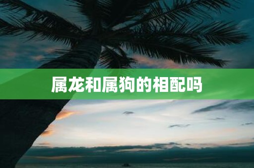属龙和属狗的相配吗