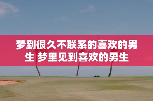 梦到很久不联系的喜欢的男生 梦里见到喜欢的男生