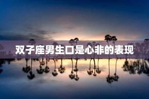 双子座男生口是心非的表现
