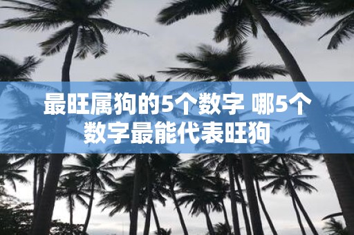 最旺属狗的5个数字 哪5个数字最能代表旺狗