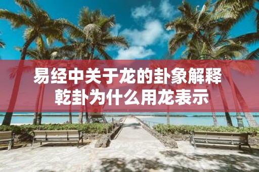 易经中关于龙的卦象解释 乾卦为什么用龙表示