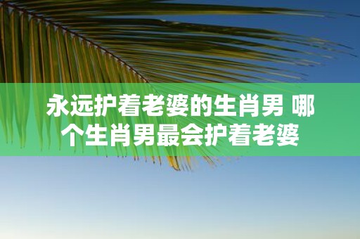 永远护着老婆的生肖男 哪个生肖男最会护着老婆