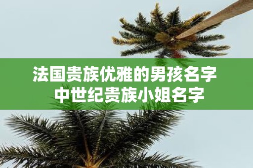 法国贵族优雅的男孩名字 中世纪贵族小姐名字 法国贵族优雅的男孩名字 中世纪贵族小姐名字