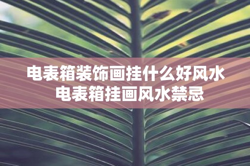 电表箱装饰画挂什么好风水 电表箱挂画风水禁忌