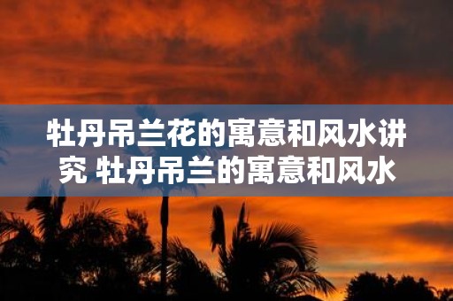 牡丹吊兰花的寓意和风水讲究 牡丹吊兰的寓意和风水讲解