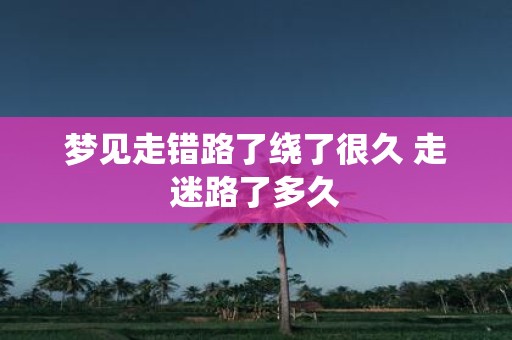 梦见走错路了绕了很久 走迷路了多久