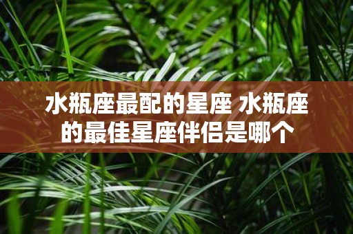 水瓶座最配的星座 水瓶座的最佳星座伴侣是哪个