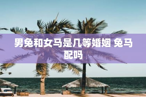 男兔和女马是几等婚姻 兔马配吗