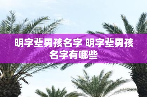 明字辈男孩名字 明字辈男孩名字有哪些