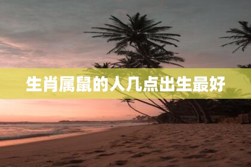 生肖属鼠的人几点出生最好