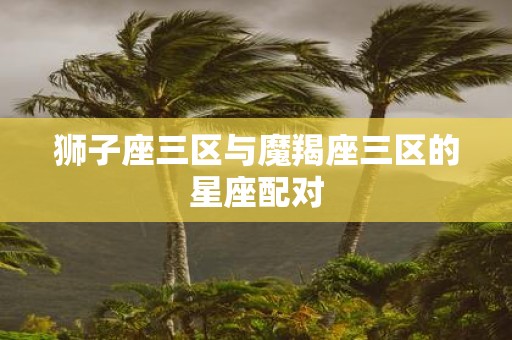 狮子座三区与魔羯座三区的星座配对