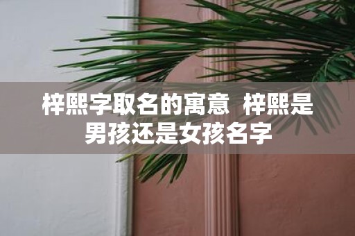 梓熙字取名的寓意 梓熙是男孩还是女孩名字