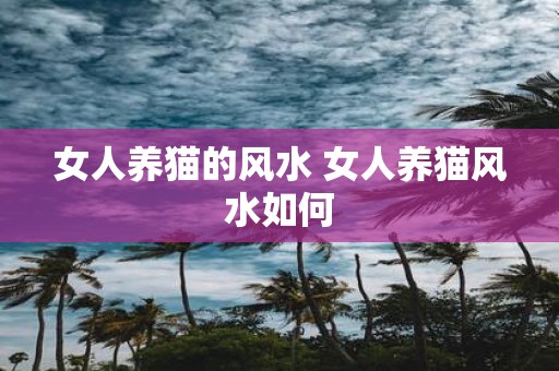 女人养猫的风水 女人养猫风水如何