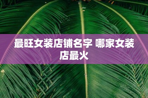 最旺女装店铺名字 哪家女装店最火