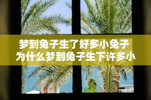 梦到兔子生了好多小兔子 为什么梦到兔子生下许多小兔子