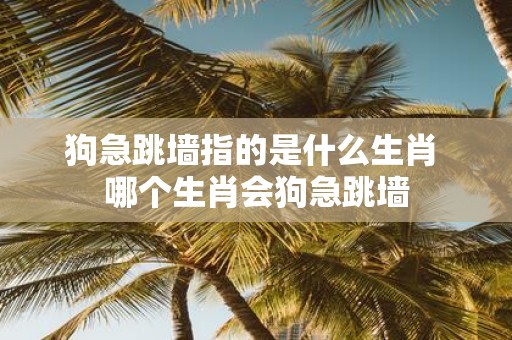 狗急跳墙指的是什么生肖 哪个生肖会狗急跳墙