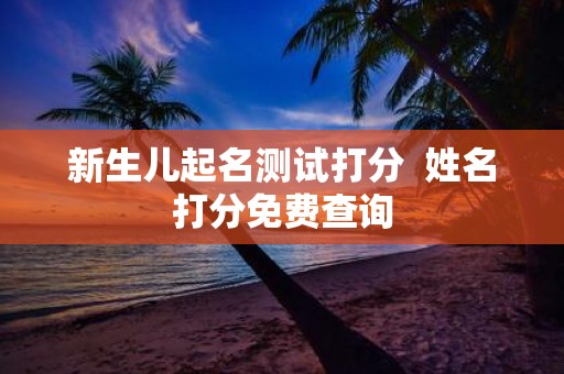 新生儿起名测试打分 姓名打分免费查询