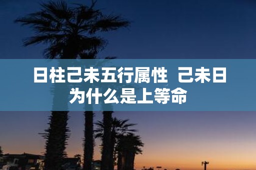 日柱己未五行属性 己未日为什么是上等命