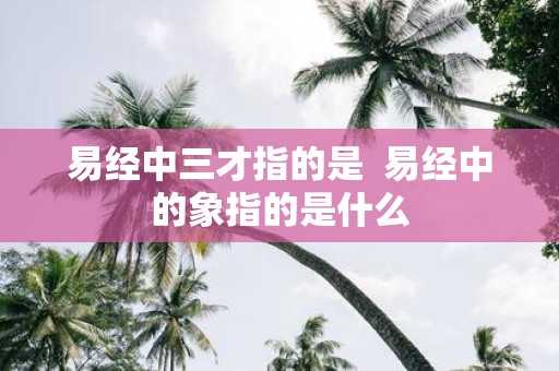 易经中三才指的是 易经中的象指的是什么