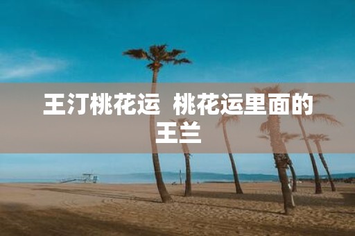 王汀桃花运 桃花运里面的王兰