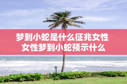 梦到小蛇是什么征兆女性 女性梦到小蛇预示什么