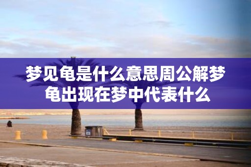 梦见龟是什么意思周公解梦 龟出现在梦中代表什么