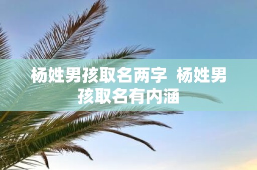 杨姓男孩取名两字 杨姓男孩取名有内涵