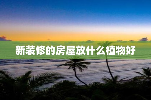 新装修的房屋放什么植物好