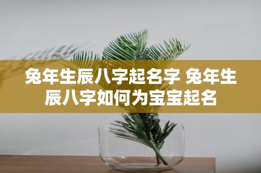蛇年生辰八字起名字 蛇年生辰八字如何为宝宝起名