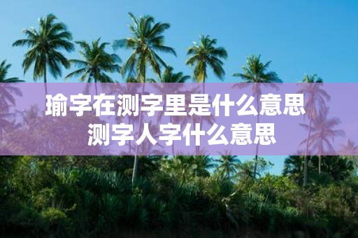 瑜字在测字里是什么意思 测字人字什么意思