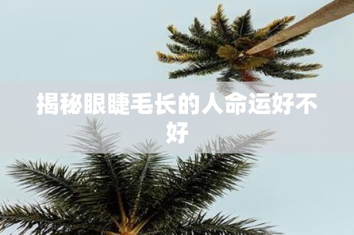 揭秘眼睫毛长的人命运好不好
