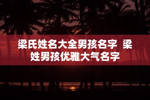 梁氏姓名大全男孩名字 梁姓男孩优雅大气名字