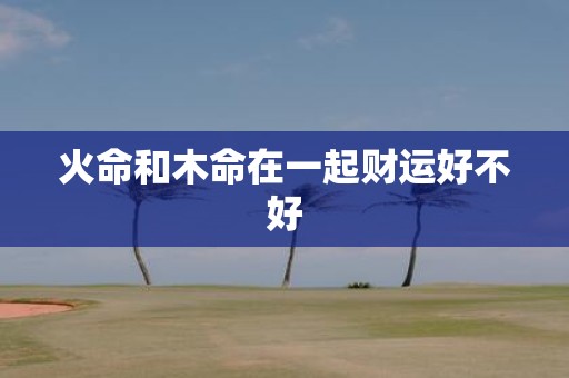 火命和木命在一起财运好不好