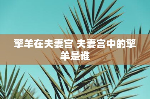 擎羊在夫妻宫 夫妻宫中的擎羊是谁