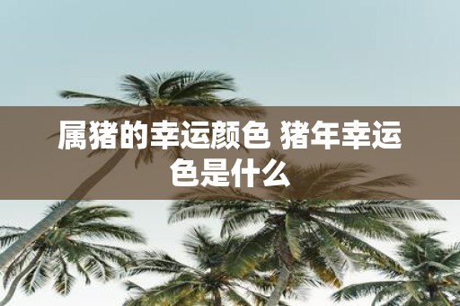 属猪的幸运颜色 猪年幸运色是什么