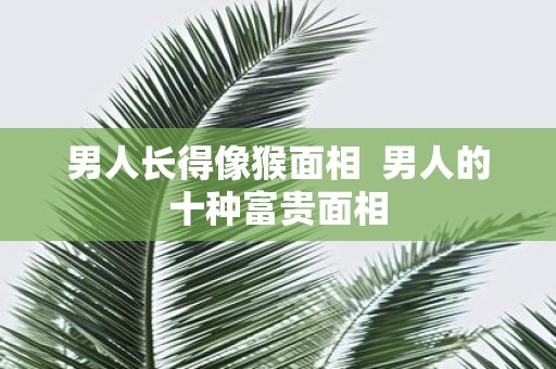 男人长得像猴面相 男人的十种富贵面相